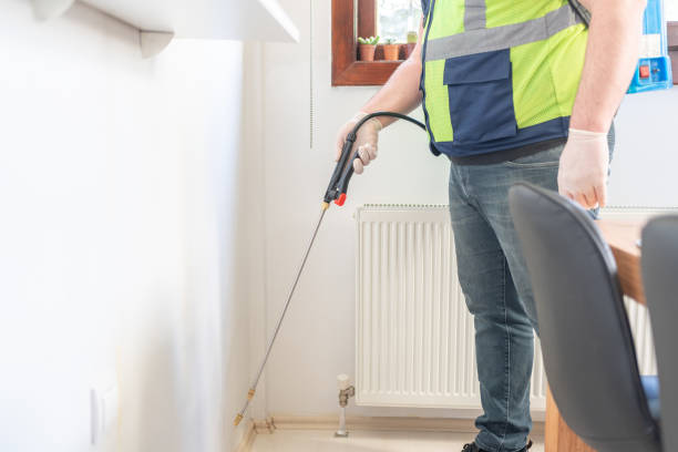 Best Cockroach Control Services  in Eldon, MO